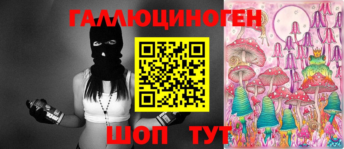 Черногорск  Галлюциногенные грибы Magic Shrooms  Вход с VPN 