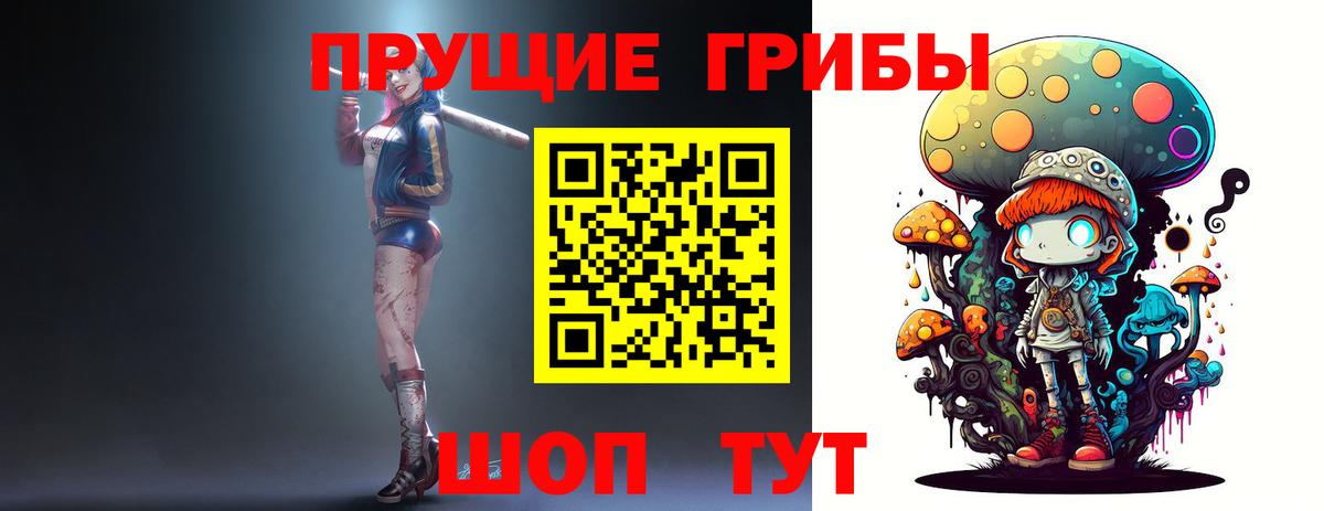 Псилоцибиновые грибы прущие грибы Черногорск